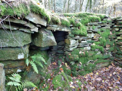 Stone buildings at Craig Furnace, Nant Gwyddon Valley, Abercarn, November 2011